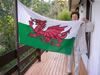 Welsh Flag